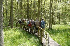 Naturlehrpfad Bürgerholz