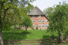 TVP